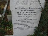 image of grave number 107621